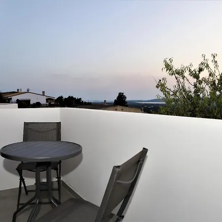 B&B Juniperus-2